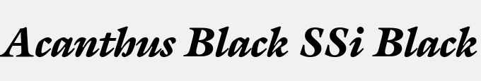 Acanthus Black SSi Black Italic